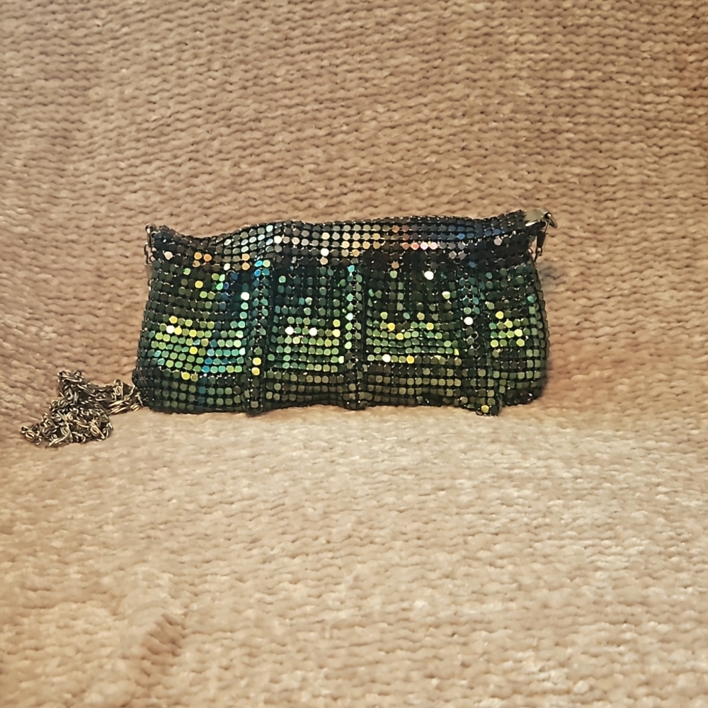 Iradescent metal purse